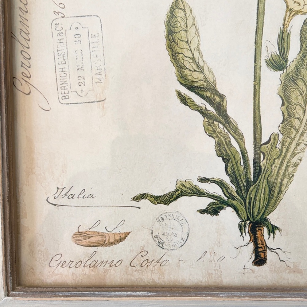 Botanical Print with Butterflies in Wooden Frame - Picture 3 of 6